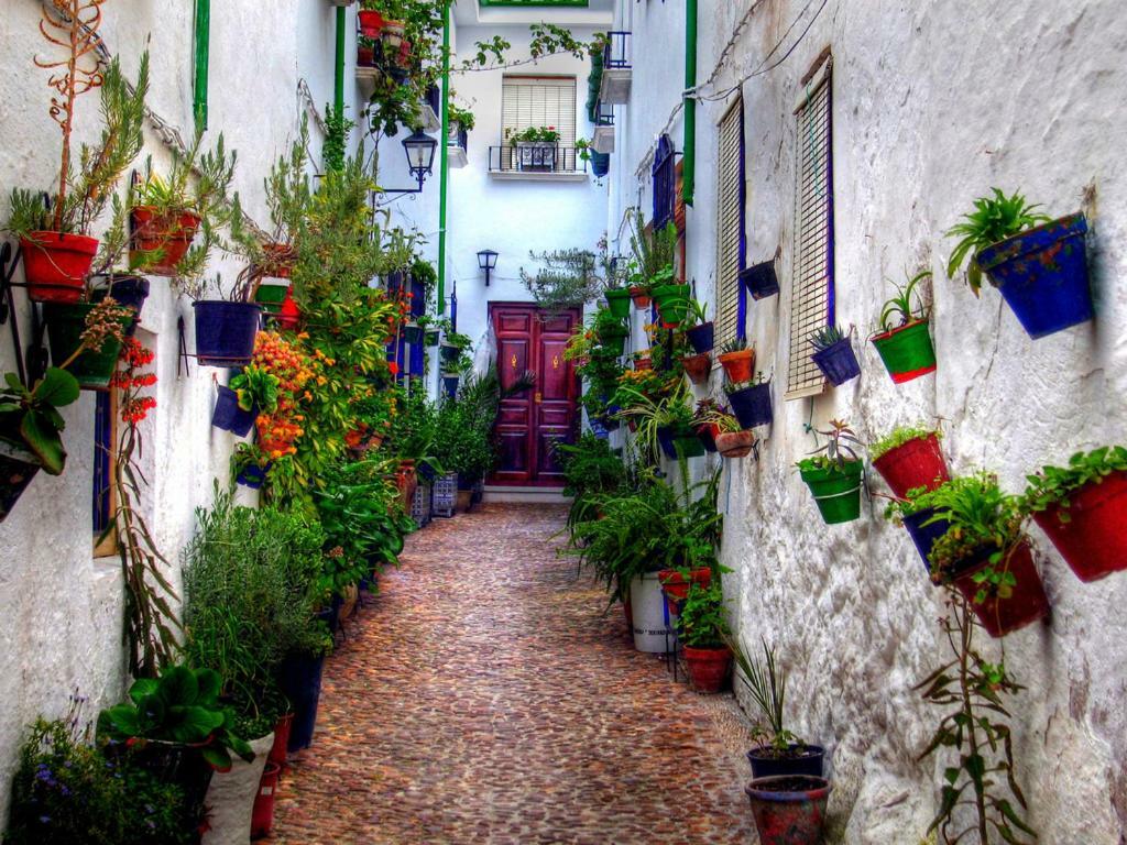 El Patio Dona Julia Apartamento Casares Exterior foto