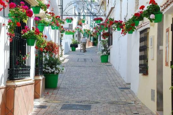 El Patio Dona Julia Apartamento Casares Exterior foto